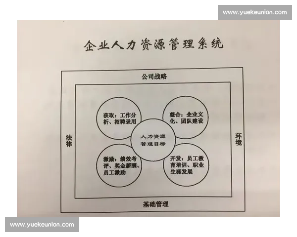 体育团队绩效提升与协同效率优化策略研究 体育团队绩效提升与协同效率优化策略研究