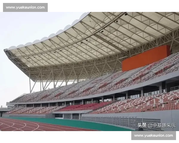 打造全民参与的体育文化项目促进健康与社会和谐发展