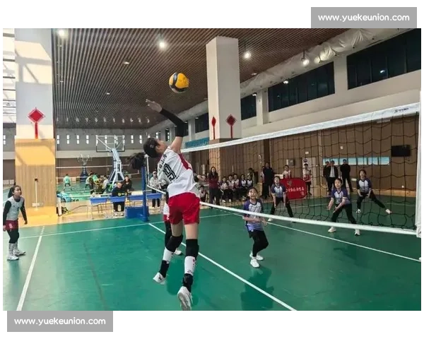 排球焦点大战再掀热潮球场争锋引发球迷热烈关注 排球焦点大战再掀热潮球场争锋引发球迷热烈关注
